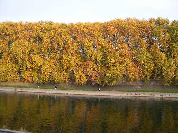  couleurs d'automne